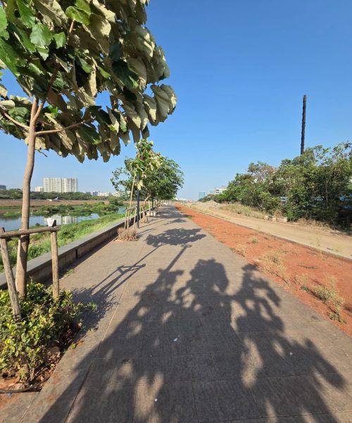 ARVI INFRA RIVER BEUTIFICATION (2)