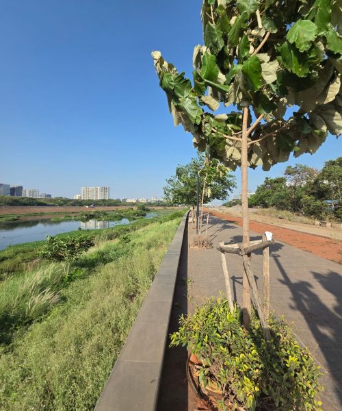 ARVI INFRA RIVER BEUTIFICATION (4)